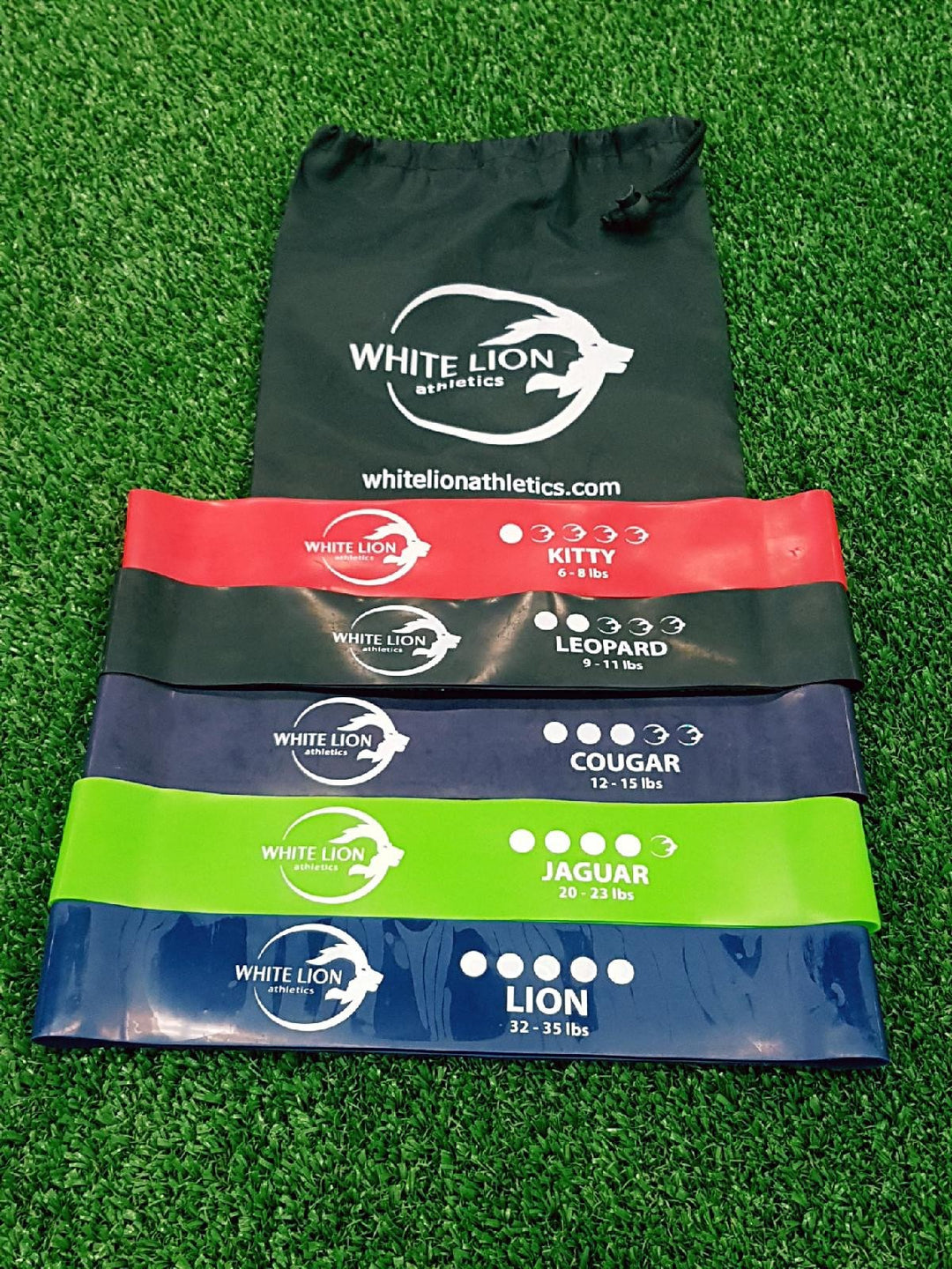 White Lion Mini Band 5 pack