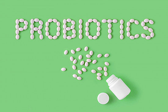 probiotics for gut health and digestion popeyes supplements supplement king gnc 