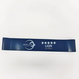 WHITE LION Mini Band Singles